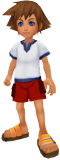 http://images2.wikia.nocookie.net/__cb20091128072204/kingdomhearts/images/8/86/Young_Sora.png